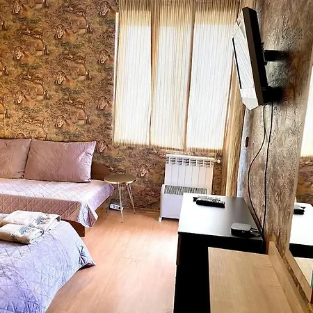Apartment Guest With Living Room, Dining And Kitchen Next To Center *