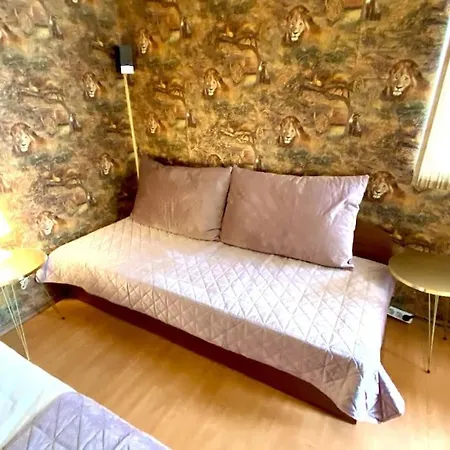 Guest With Living Room, Dining And Kitchen Next To Center Apartment *